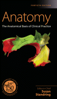 Gray's anatomy link and cover