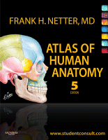 Netter's anatomy link and cover