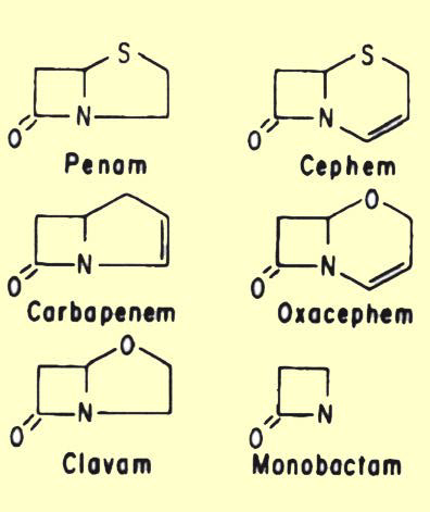 Structure of major b-lactam agents