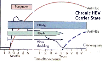 Chronic HBV infection