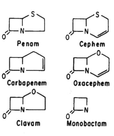 Structural of major B-lactam agents