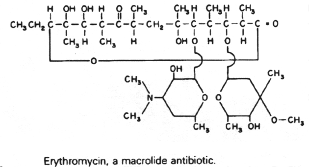 Structure of erythromycin