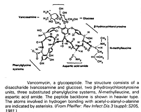 Structure of Vancomycin