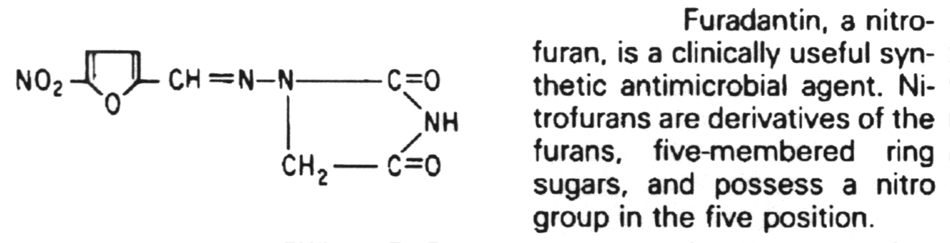 Structure of Furadantin