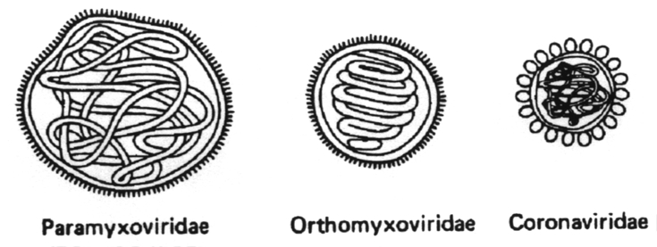 Helical