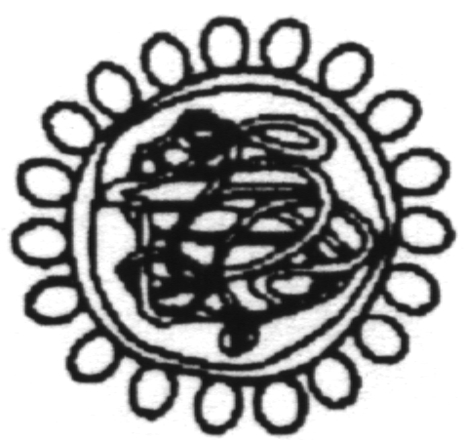 Coronaviridae