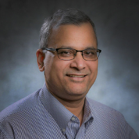 Dr. Vineet K. Singh, Professor
