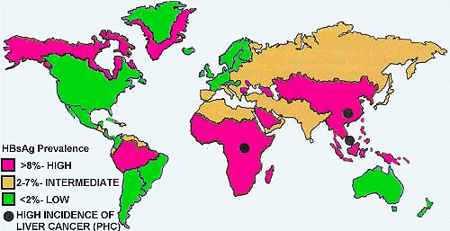 HBV epidemiology