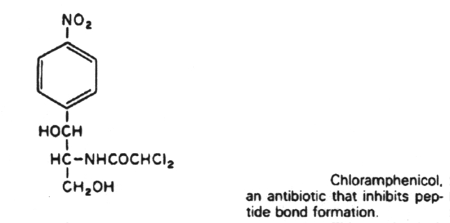 Structure of chloramphenicol