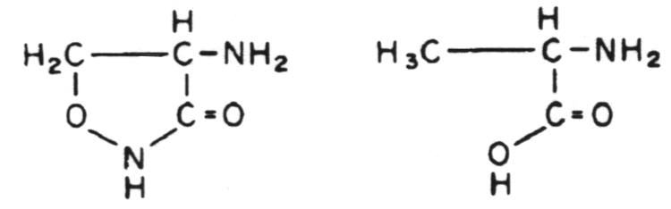 Structure of cycloserine and D-ala-nine