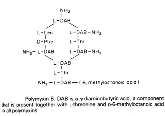 Polymyxin B