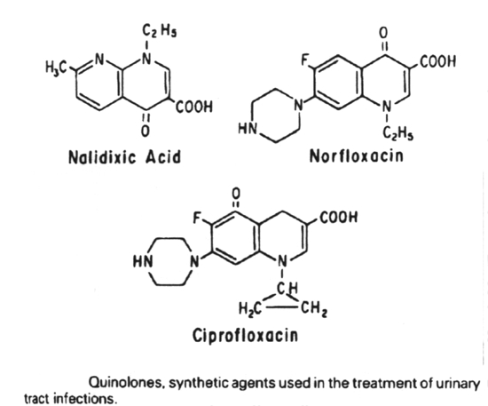 Structure of Quinolones