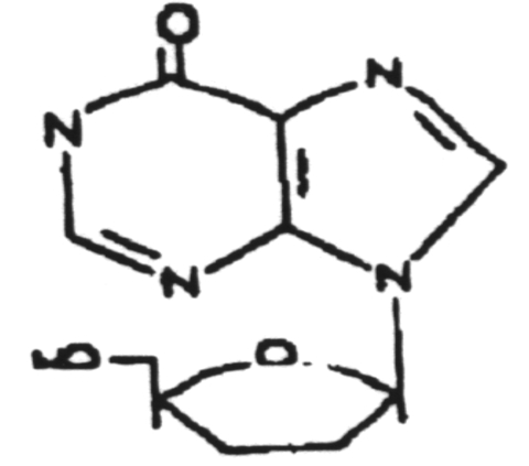 Dideoxyinosine