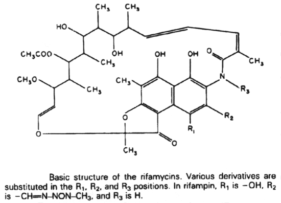 Structure of rifamycins