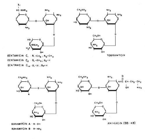 Structures of micins