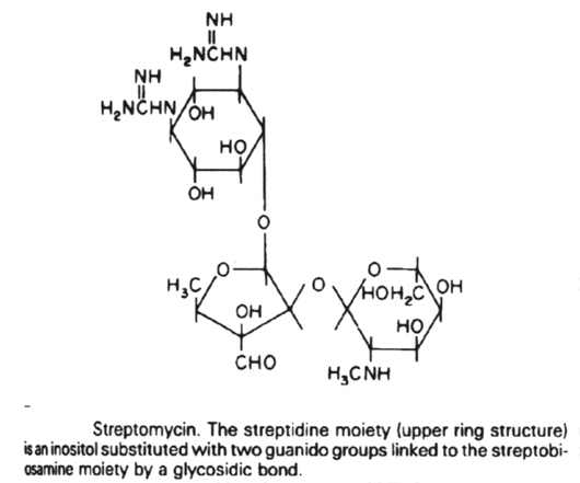 Structure of Streptomycin