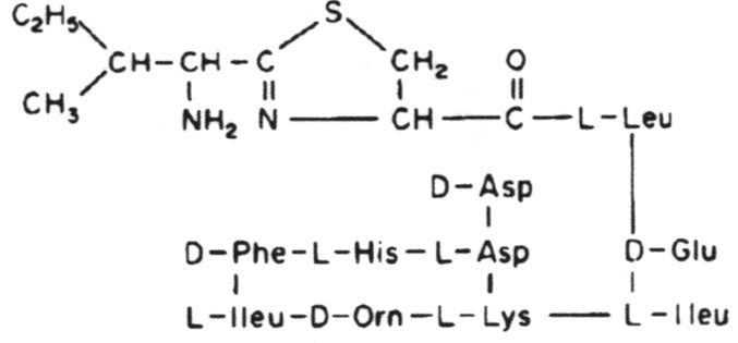 Bacitiracin A