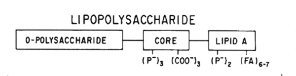 Lipopolysaccharide
