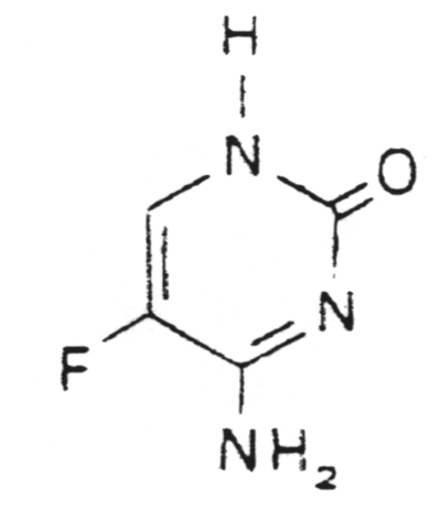 Pyrimidine analogs