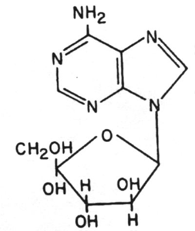 Structre of Adenine arabinoside