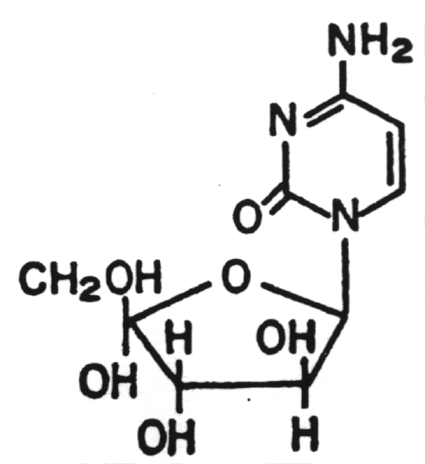 Structure of Cytosine arabinoside