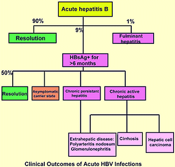 HBV outcomes