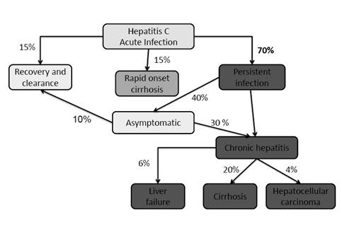 HCV outcomes