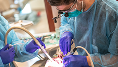 Doctor of Dental Medicine