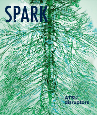 Spark Research Magazine