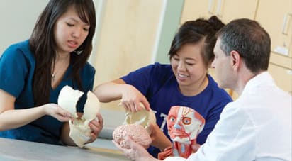 ATSU professor demonstrating 3D model of parietal and occipital cranial bones with medical students in biostatistics course.