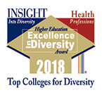 Image of icon for Insight Into Diversity