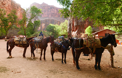 Picture of Mesa activities