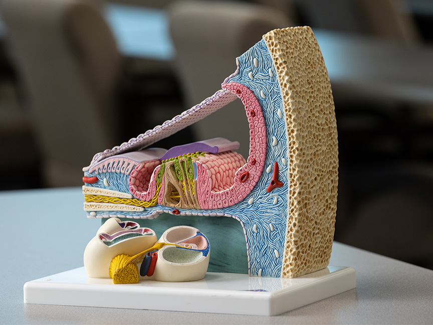 Program Specific Imagery