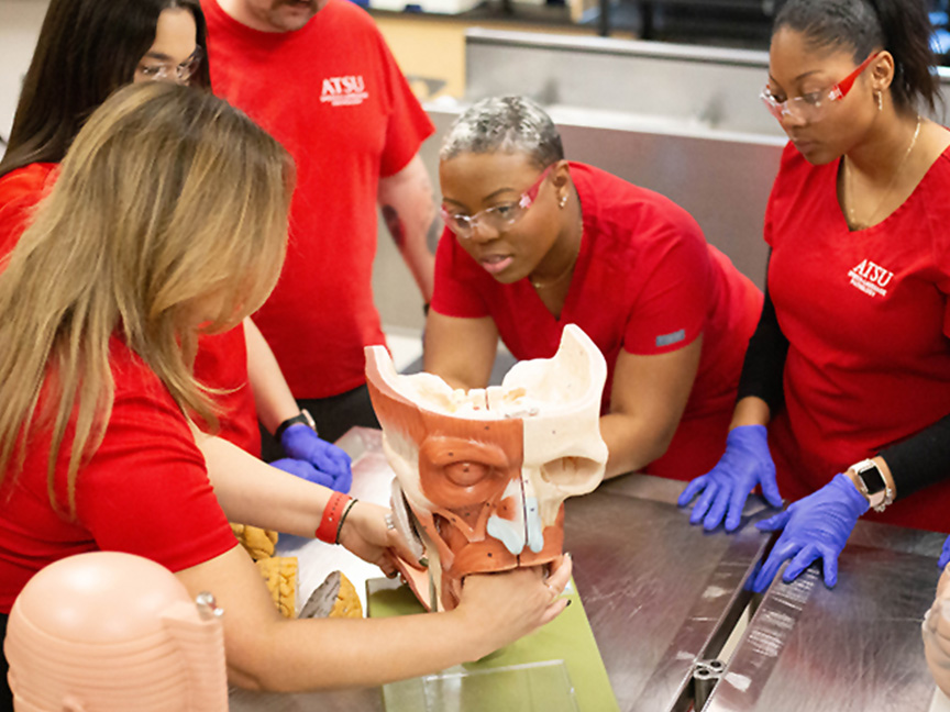 Students working with mouth