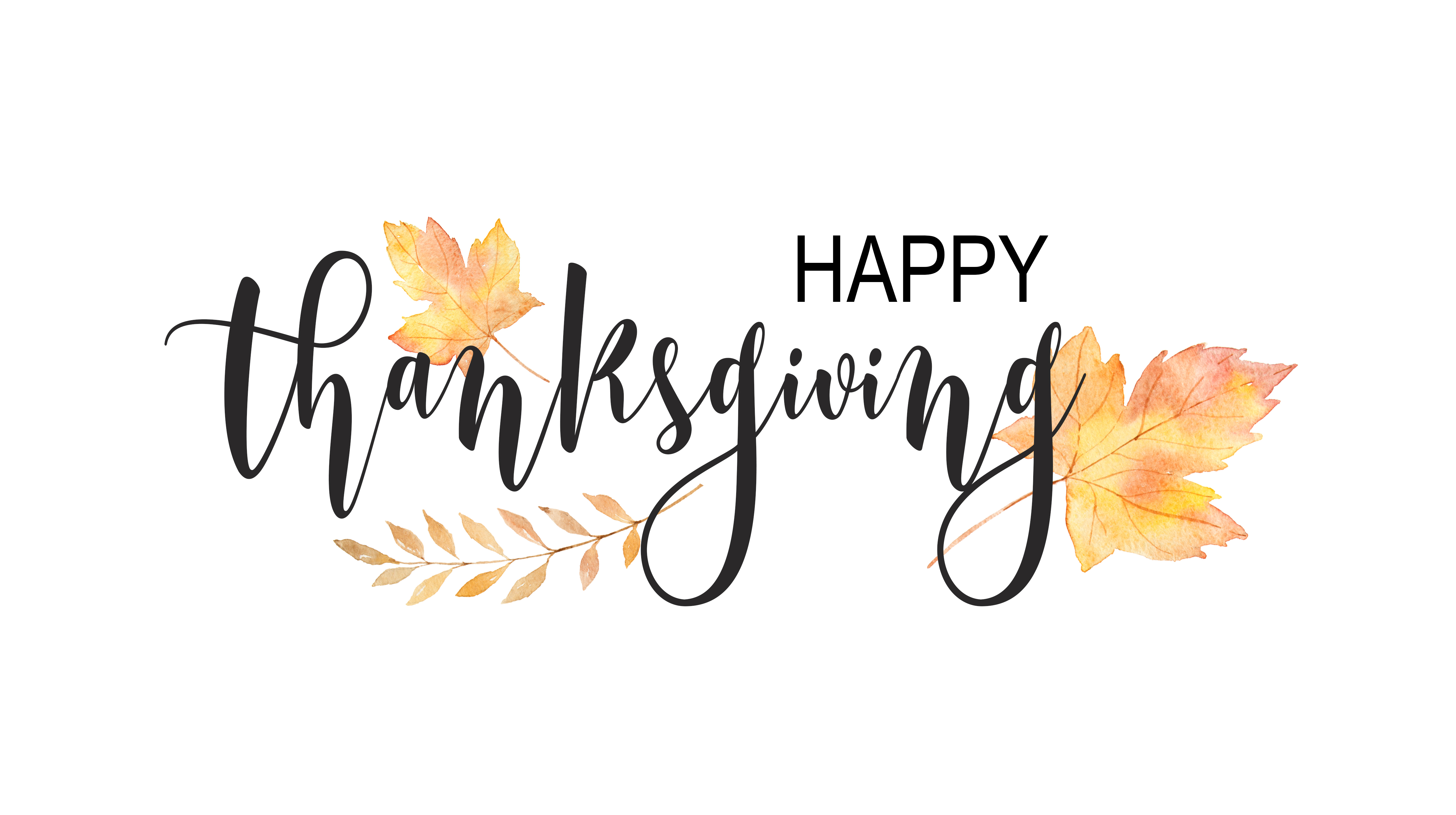 Happy Thanksgiving