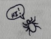 tick drawing