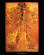 Dissection Print