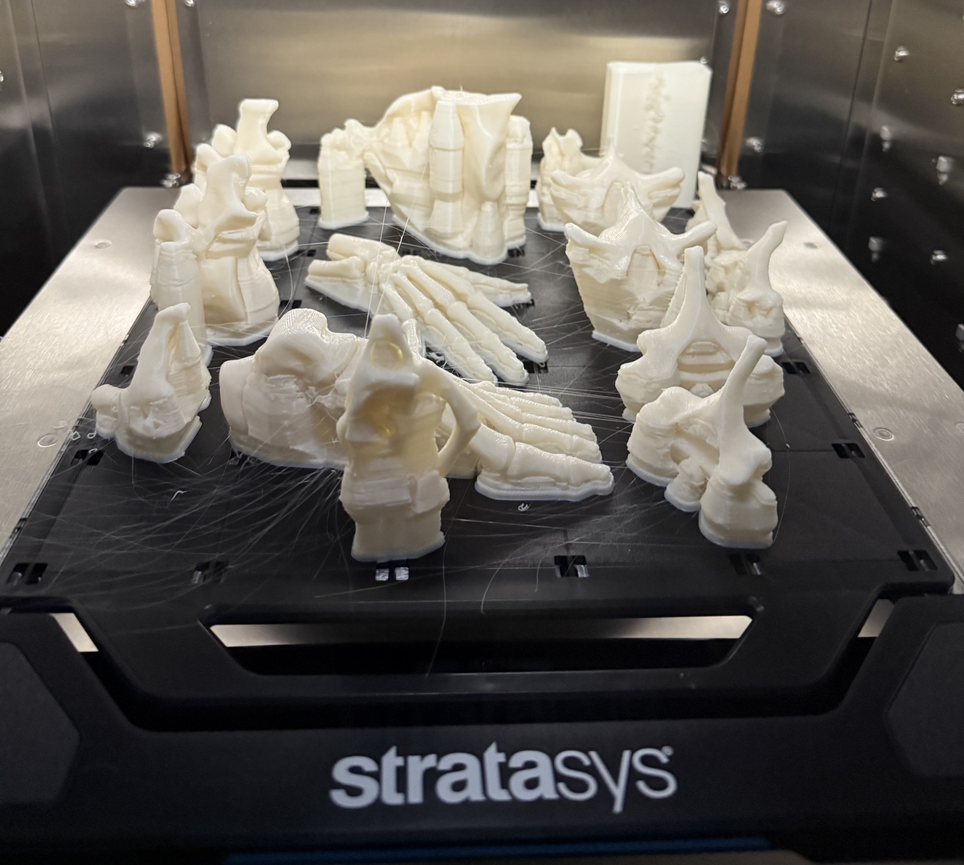 inside a 3D printing machine with finished prints of off-white anatomy 3D models