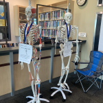 Arizona campus library skeleton naming contest results