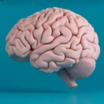 Free 3D printing services available for all ATSU students