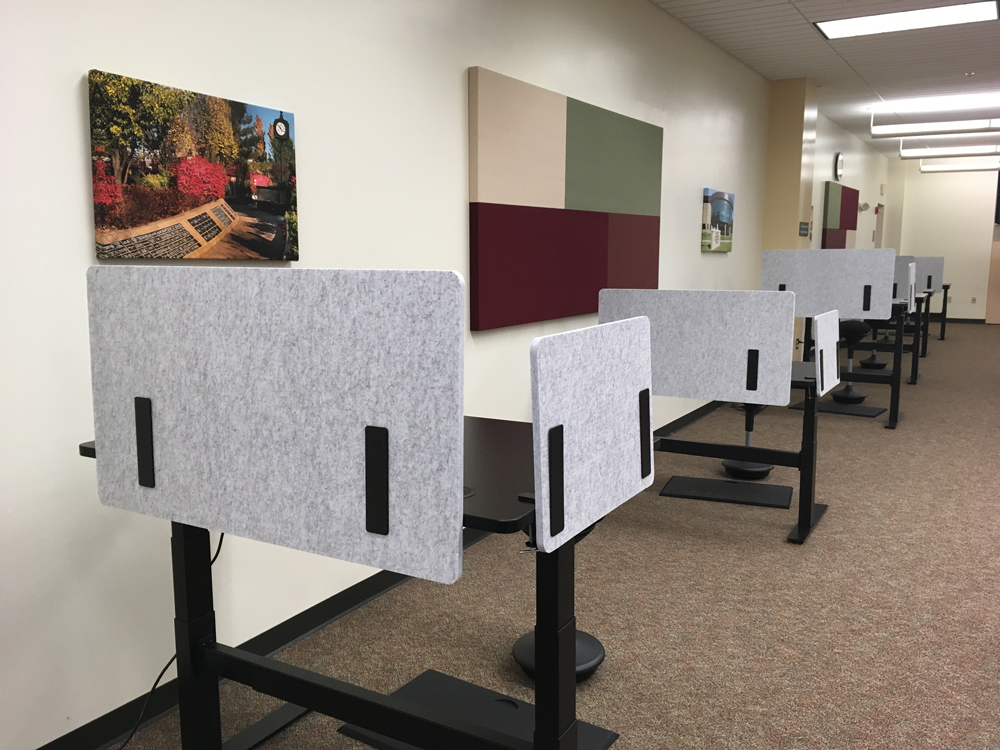 privacy desks in the library