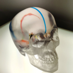 Shaping the future: University libraries celebrate significant growth in 3D printing services