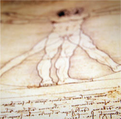 Da Vincis Vitruvian Man